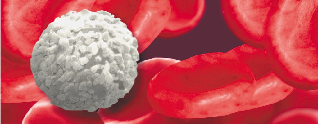 Ce sunt Bolile Hematologice – bolile de sange?